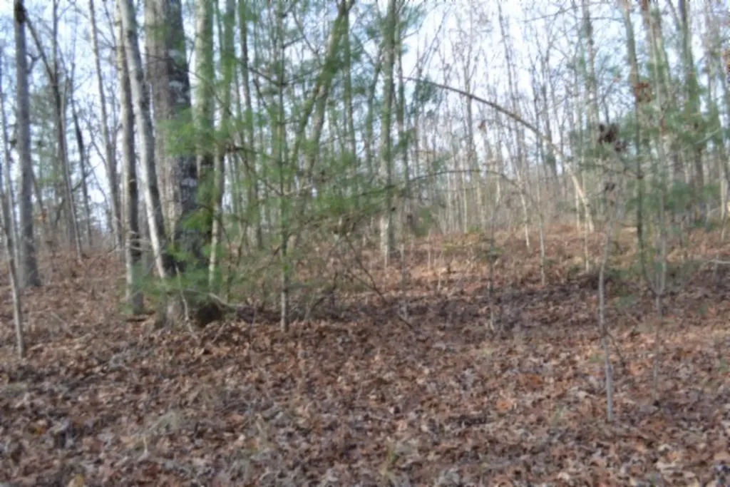 Lot 4 Shotgun Annie Road Jamestown TN 38556