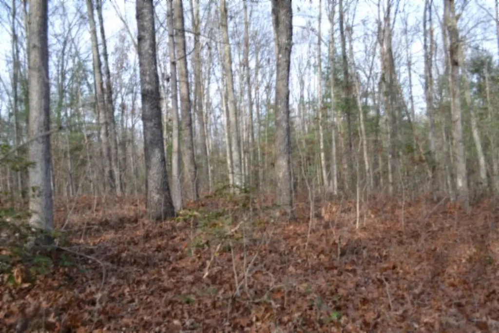 Lot 4 Shotgun Annie Road Jamestown TN 38556