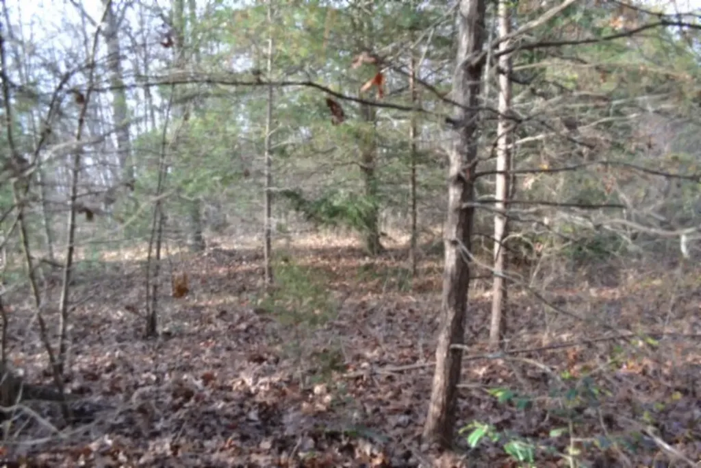 Lot 4 Shotgun Annie Road Jamestown TN 38556