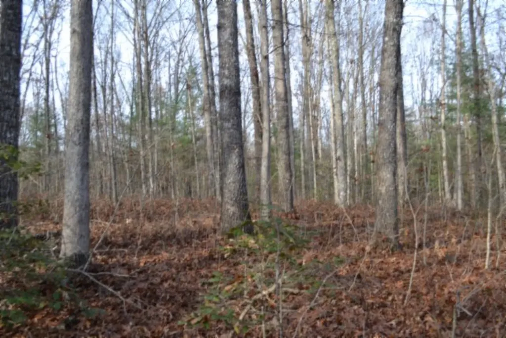 Lot 4 Shotgun Annie Road Jamestown TN 38556