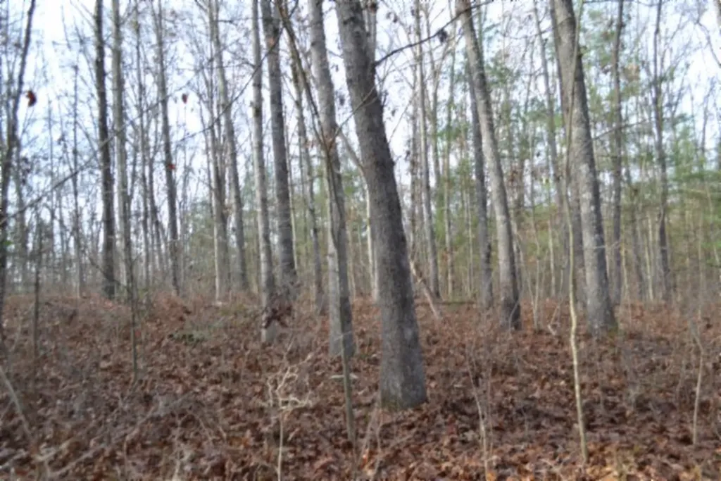 Lot 4 Shotgun Annie Road Jamestown TN 38556