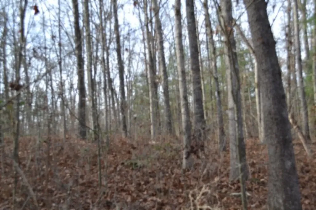 Lot 4 Shotgun Annie Road Jamestown TN 38556
