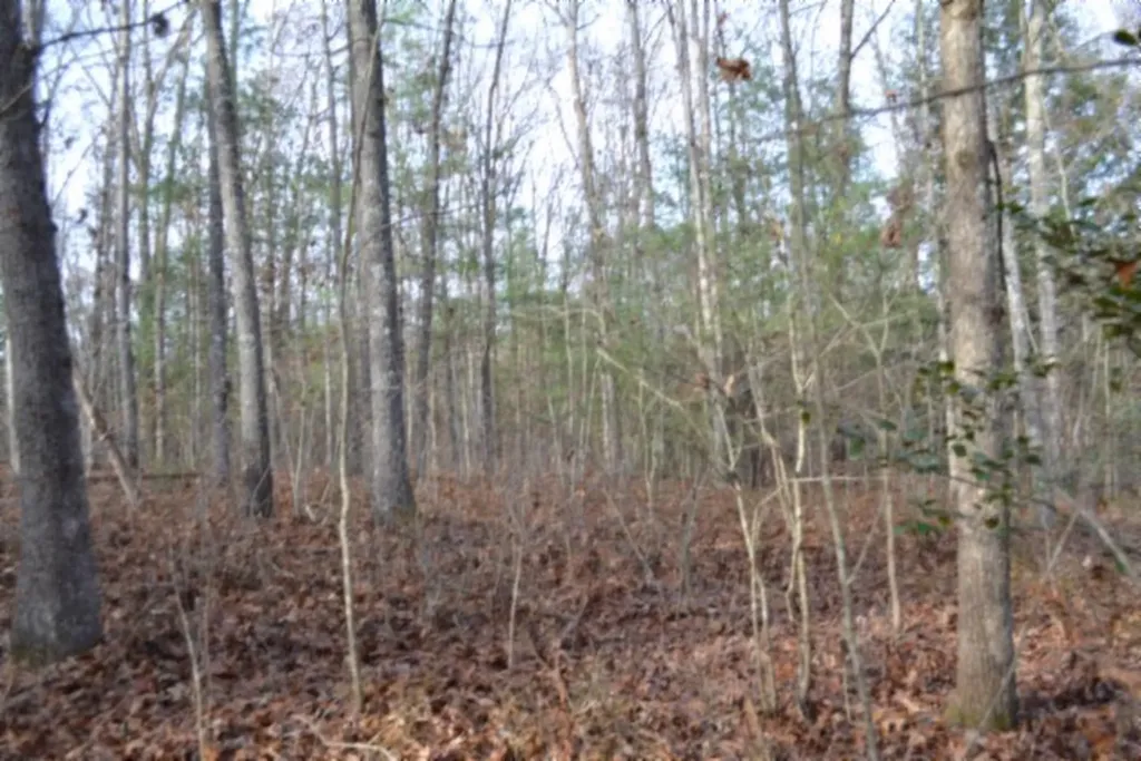 Lot 4 Shotgun Annie Road Jamestown TN 38556