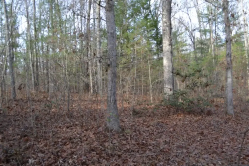 Lot 4 Shotgun Annie Road Jamestown TN 38556
