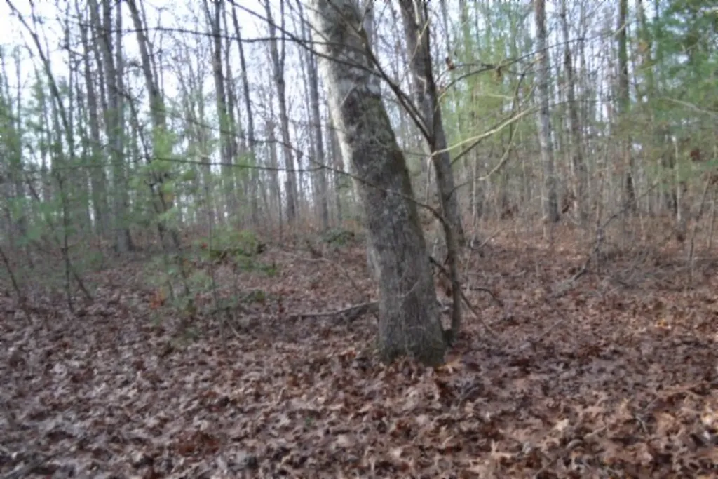 Lot 4 Shotgun Annie Road Jamestown TN 38556