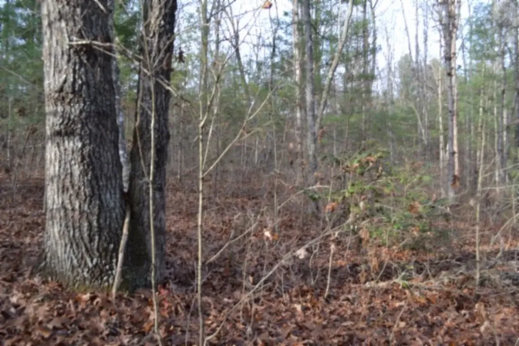 Lot 4 Shotgun Annie Road Jamestown TN 38556