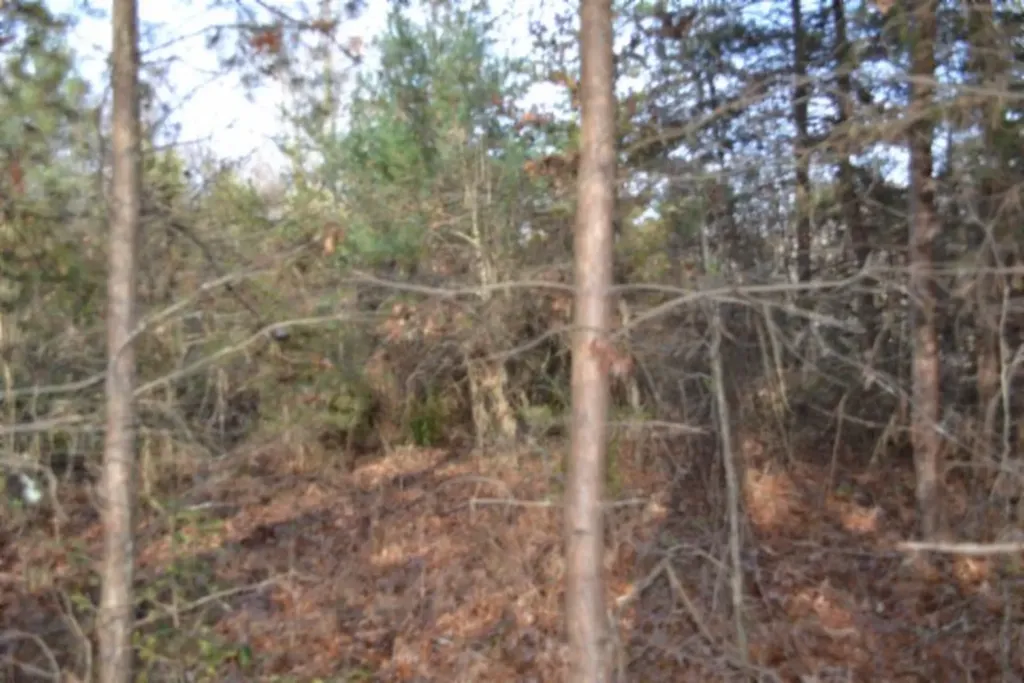 Lot 4 Shotgun Annie Road Jamestown TN 38556