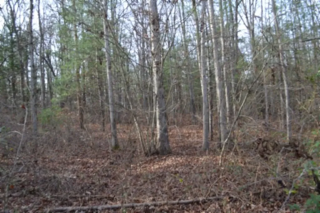 Lot 4 Shotgun Annie Road Jamestown TN 38556