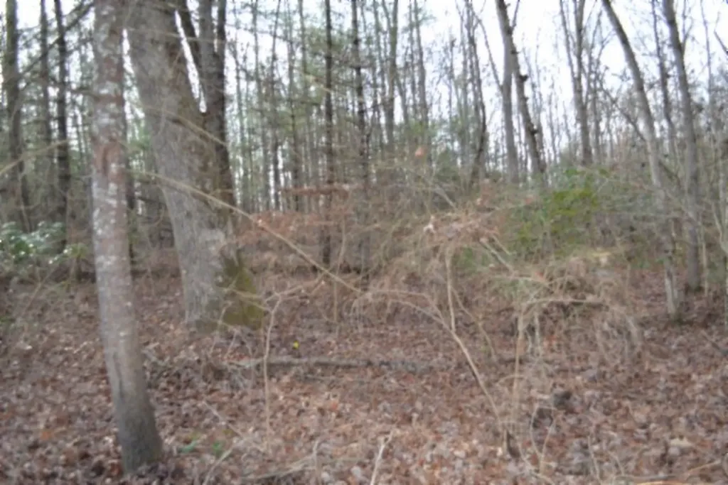 Lot 4 Shotgun Annie Road Jamestown TN 38556