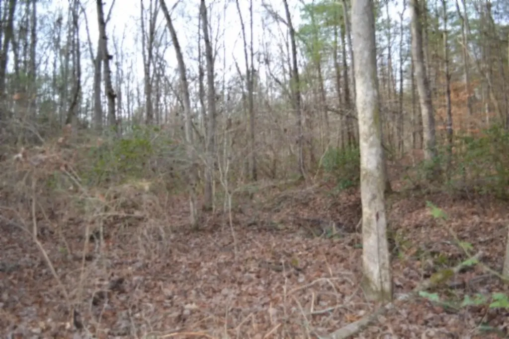 Lot 4 Shotgun Annie Road Jamestown TN 38556