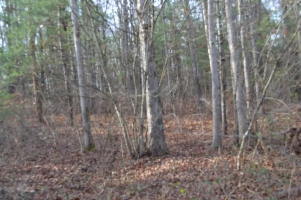 Lot 4 Shotgun Annie Road Jamestown TN 38556