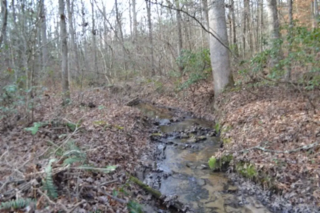 Lot 4 Shotgun Annie Road Jamestown TN 38556