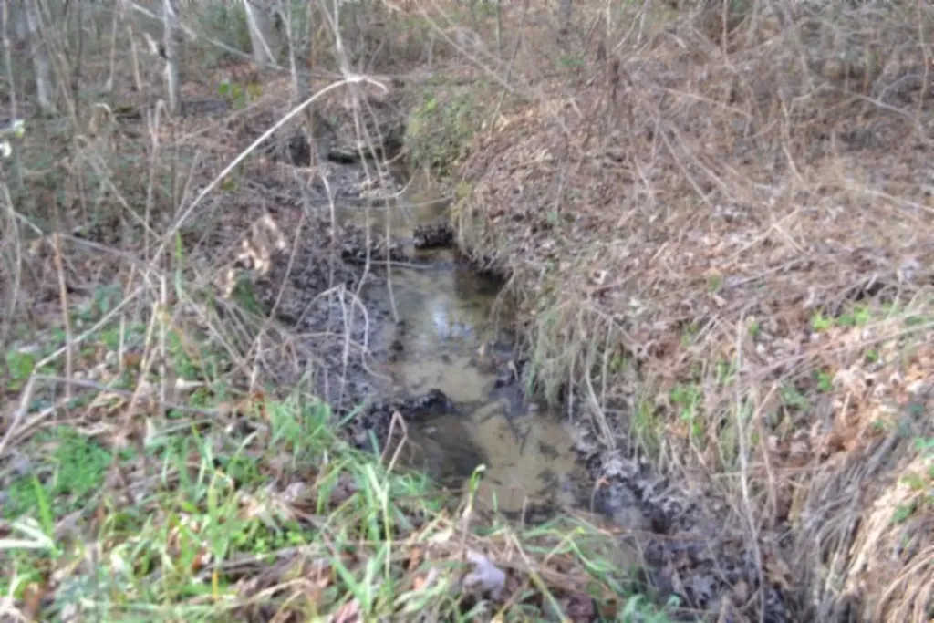 Lot 4 Shotgun Annie Road Jamestown TN 38556