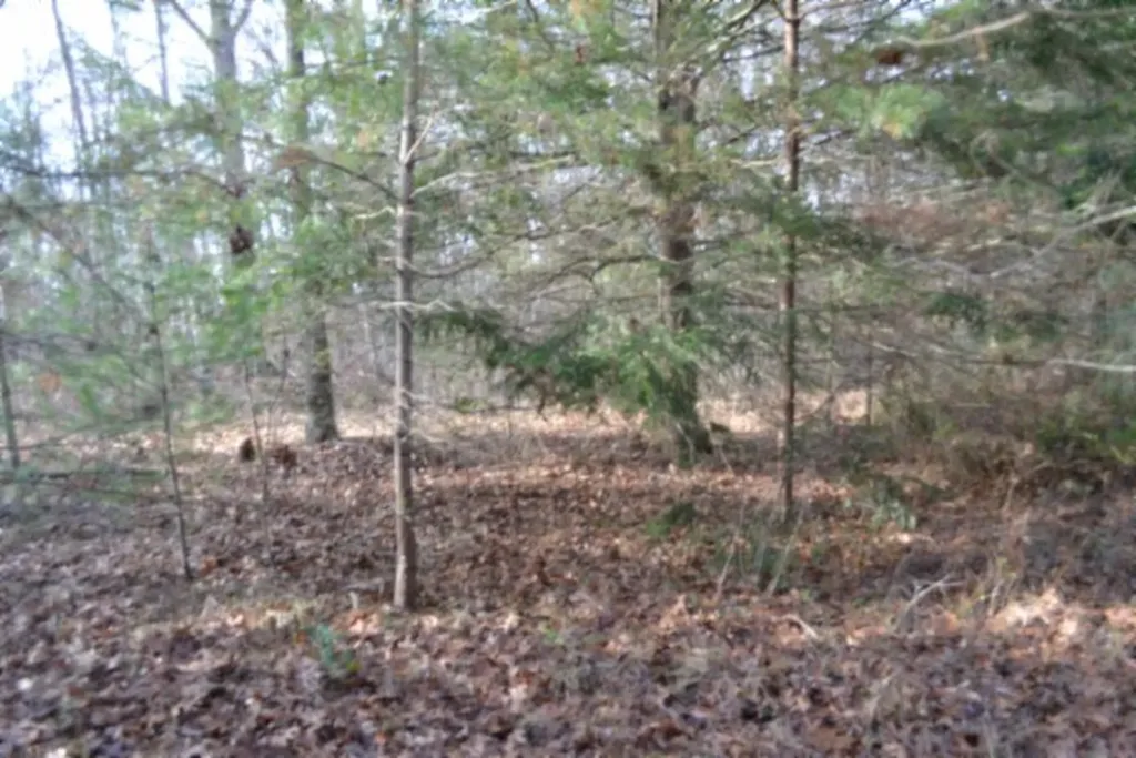 Lot 4 Shotgun Annie Road Jamestown TN 38556
