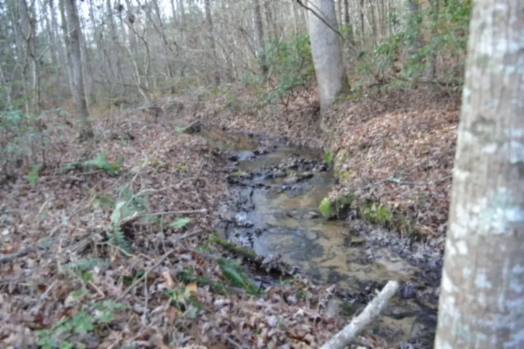 Lot 4 Shotgun Annie Road Jamestown TN 38556