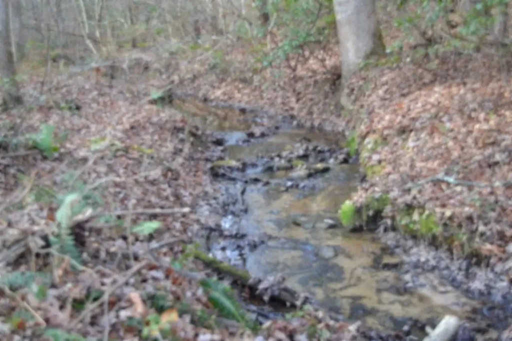 Lot 4 Shotgun Annie Road Jamestown TN 38556