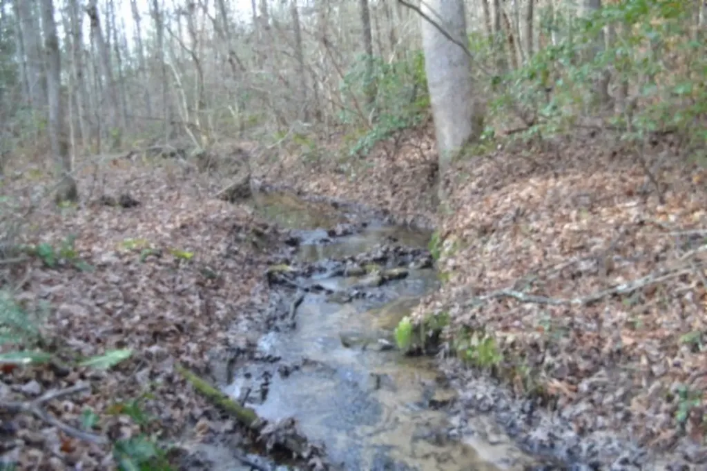 Lot 4 Shotgun Annie Road Jamestown TN 38556
