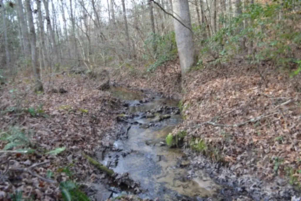 Lot 4 Shotgun Annie Road Jamestown TN 38556