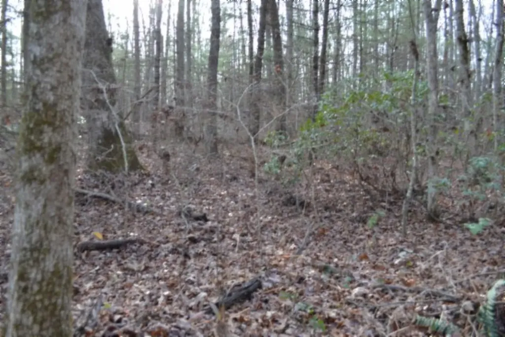 Lot 4 Shotgun Annie Road Jamestown TN 38556
