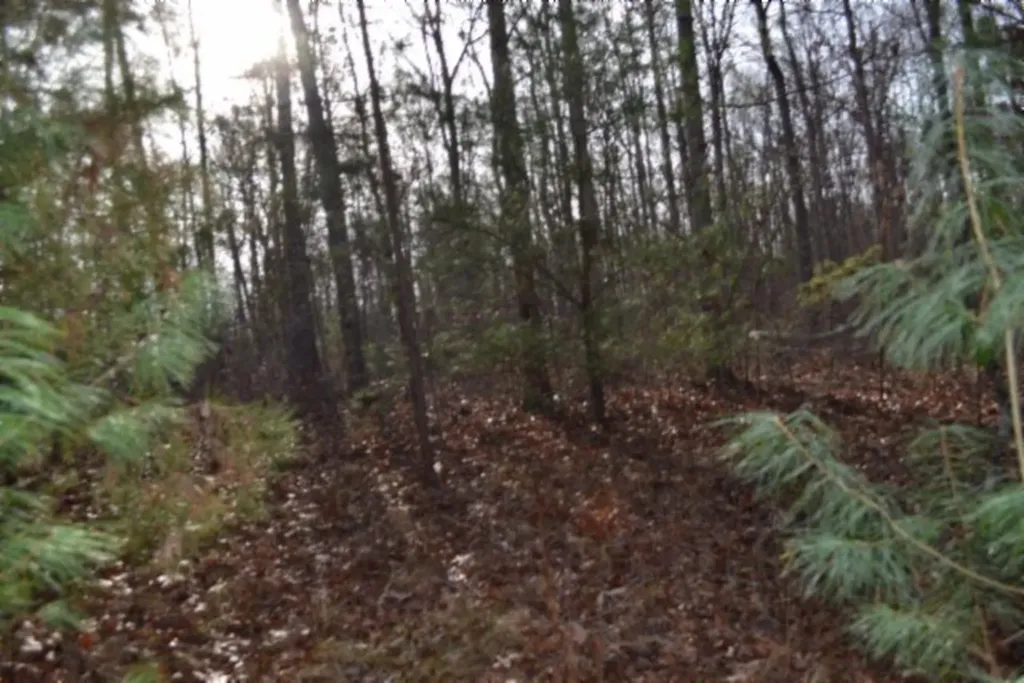 Lot 4 Shotgun Annie Road Jamestown TN 38556