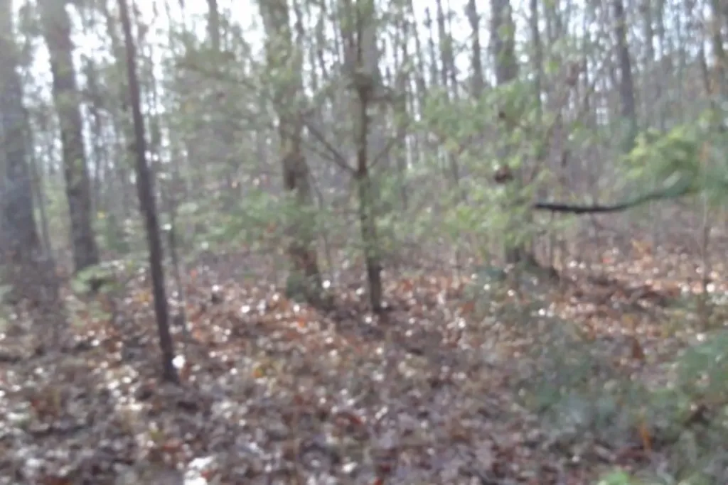 Lot 4 Shotgun Annie Road Jamestown TN 38556