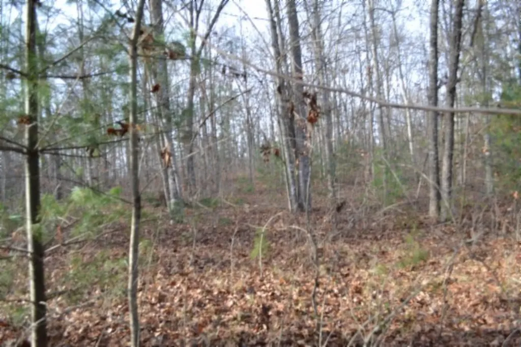 Lot 4 Shotgun Annie Road Jamestown TN 38556
