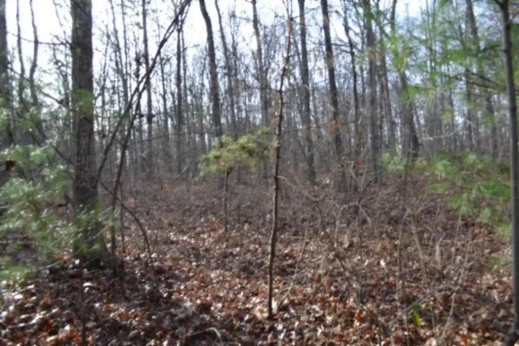 Lot 4 Shotgun Annie Road Jamestown TN 38556