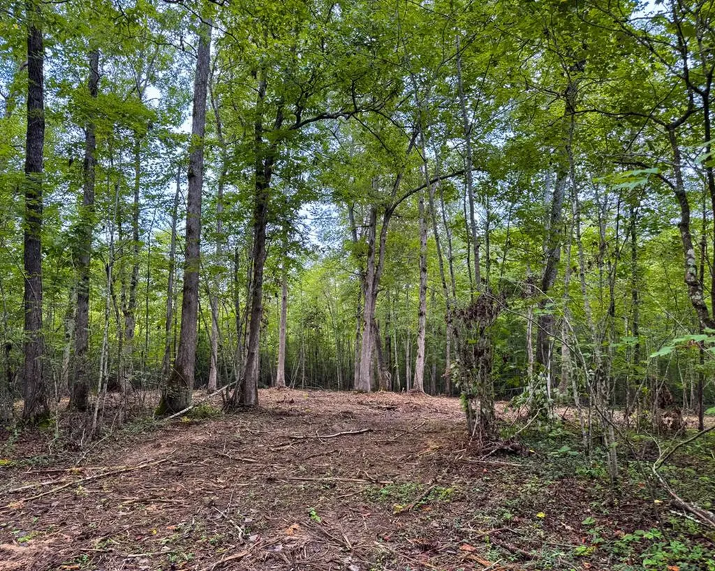 Tract 7 Sheep Ranch Road Robbins TN 37852