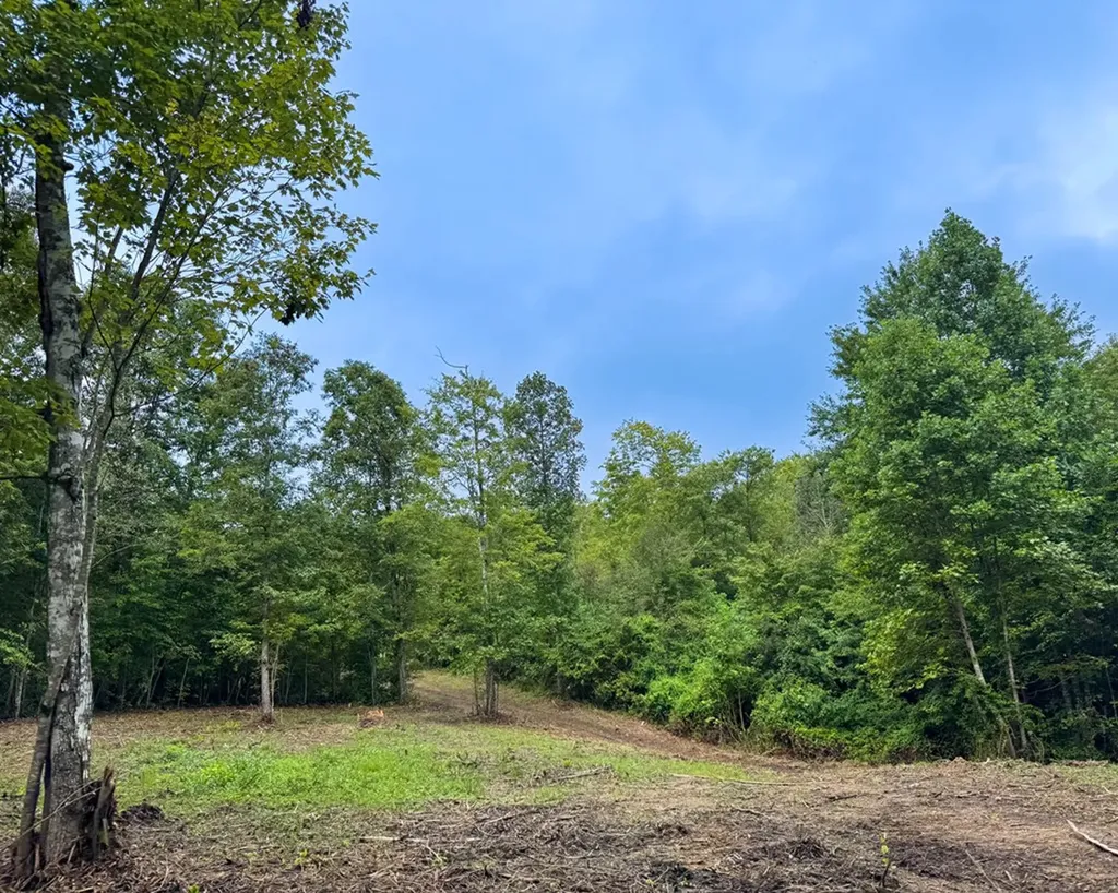 Tract 7 Sheep Ranch Road Robbins TN 37852