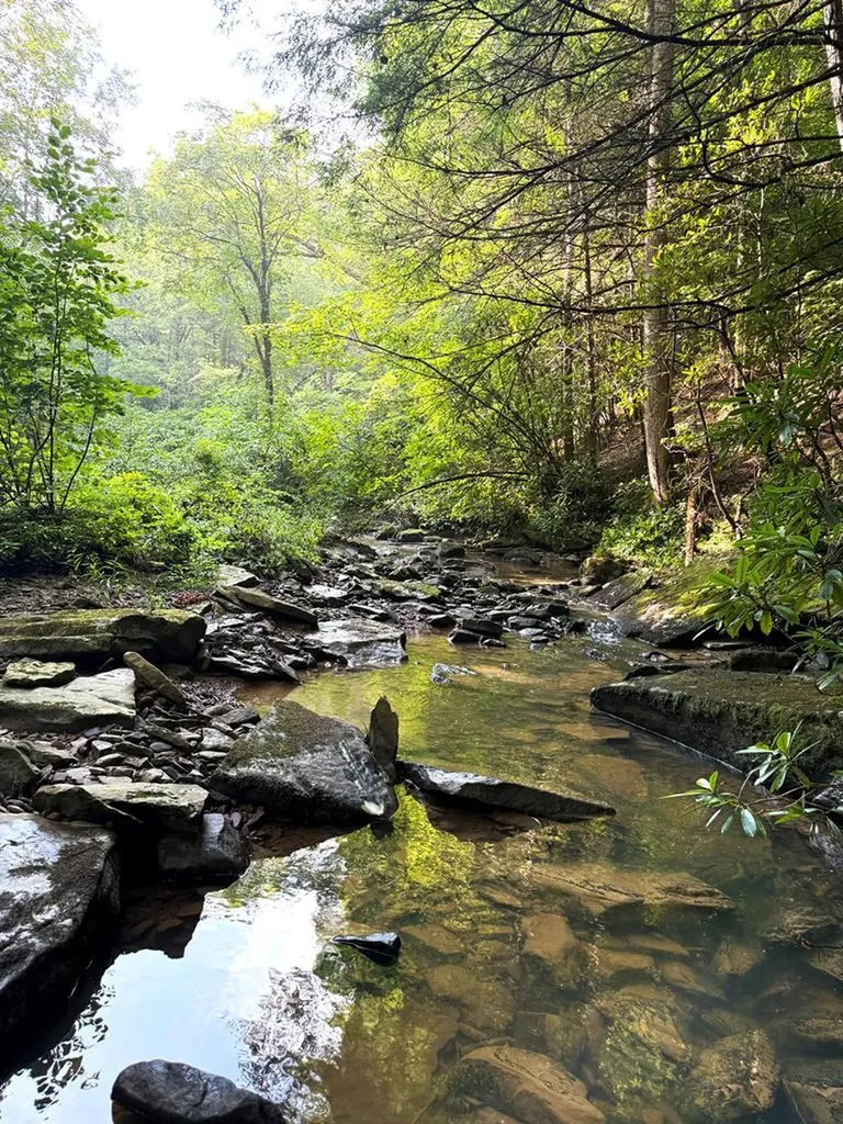 Tract 2 Sheep Ranch Road Robbins TN 37852