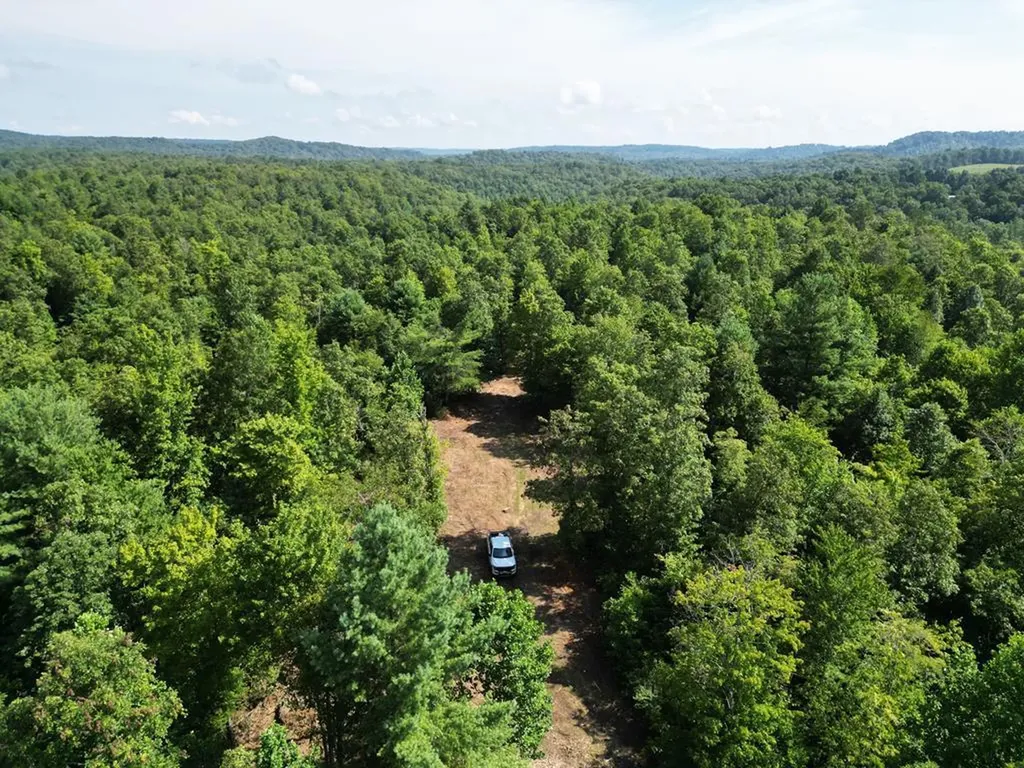 Tract 2 Sheep Ranch Road Robbins TN 37852