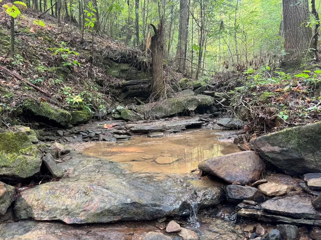Tract 2 Sheep Ranch Road Robbins TN 37852