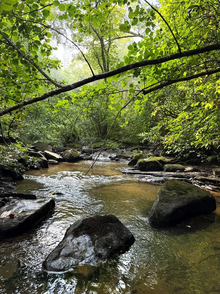 Tract 2 Sheep Ranch Road Robbins TN 37852