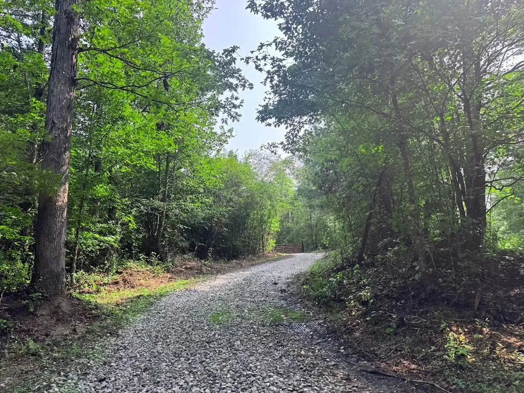Tract 2 Sheep Ranch Road Robbins TN 37852