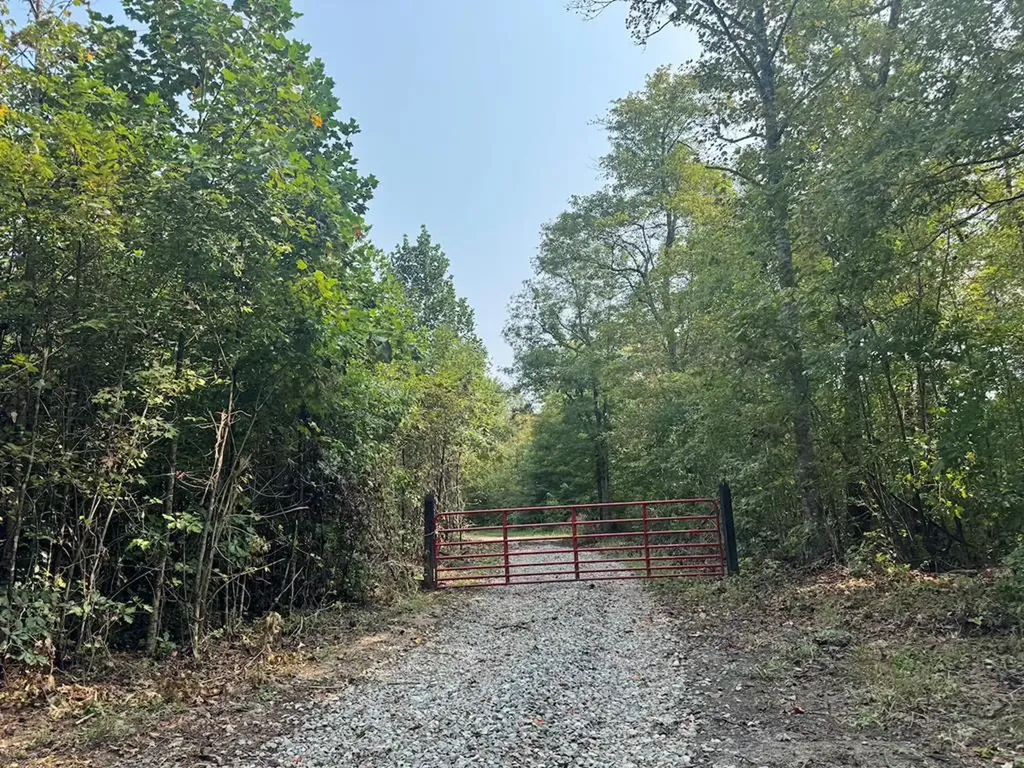 Tract 2 Sheep Ranch Road Robbins TN 37852