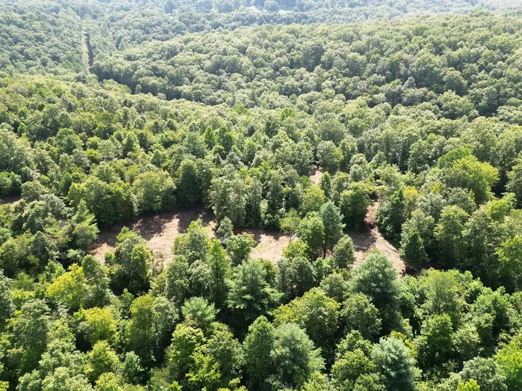 Tract 2 Sheep Ranch Road Robbins TN 37852