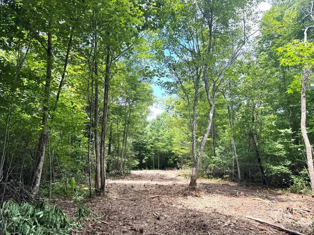 Tract 2 Sheep Ranch Road Robbins TN 37852