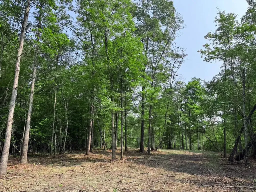 Tract 2 Sheep Ranch Road Robbins TN 37852