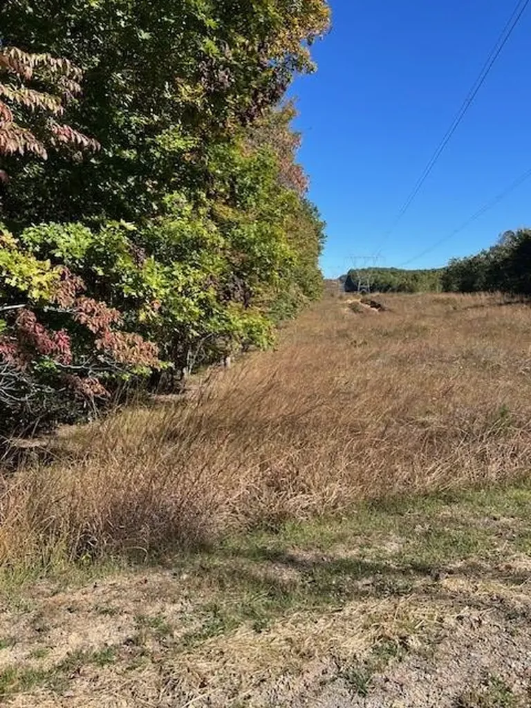 Lot 8+9 Slack Place Monterey TN 38574