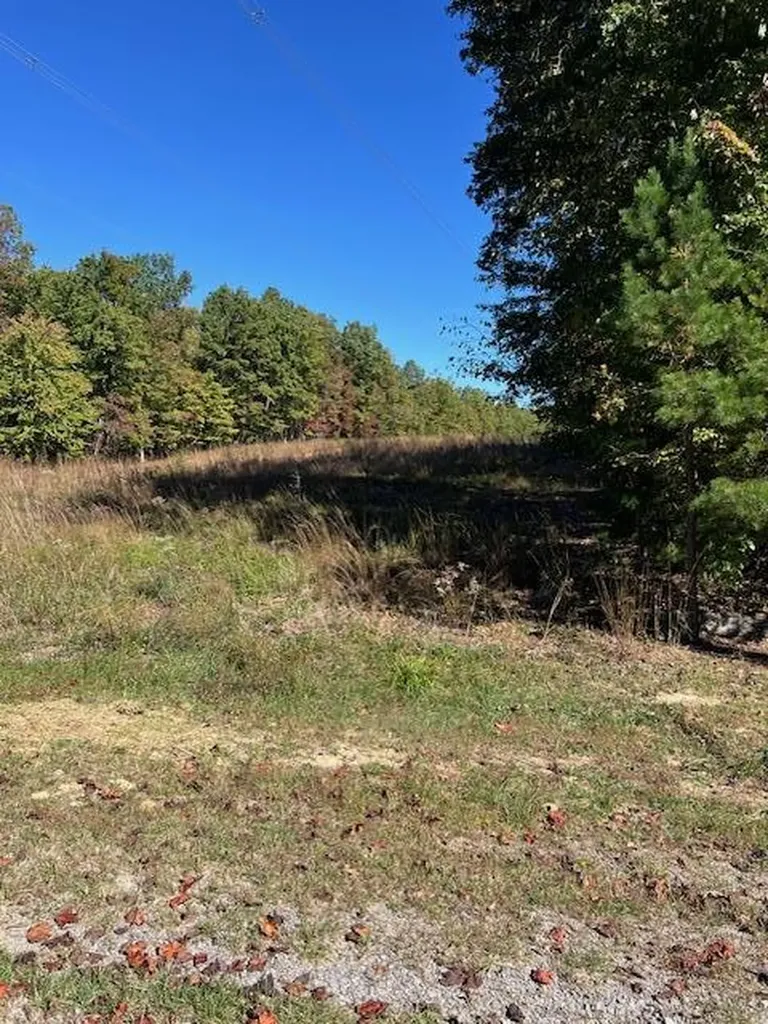 Lot 8+9 Slack Place Monterey TN 38574