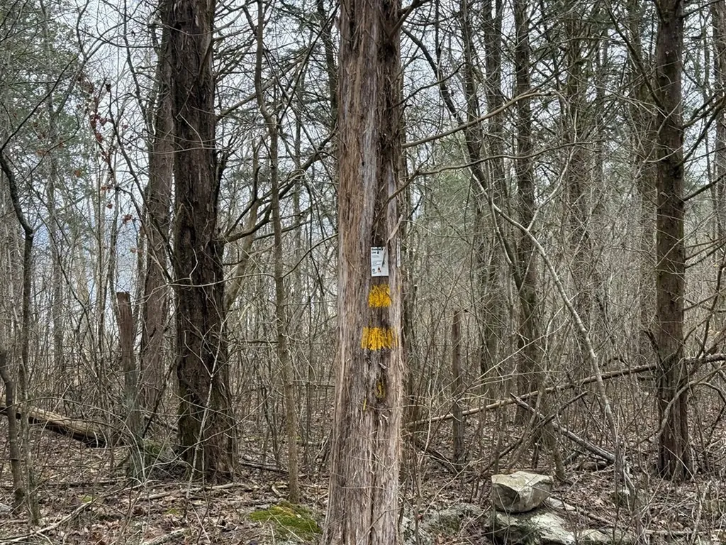 37.88 Ac Cook Lane Gainesboro TN 38562