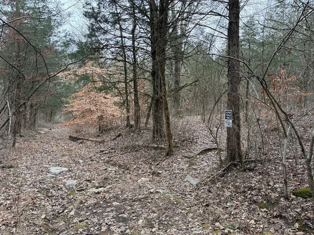 37.88 Ac Cook Lane Gainesboro TN 38562
