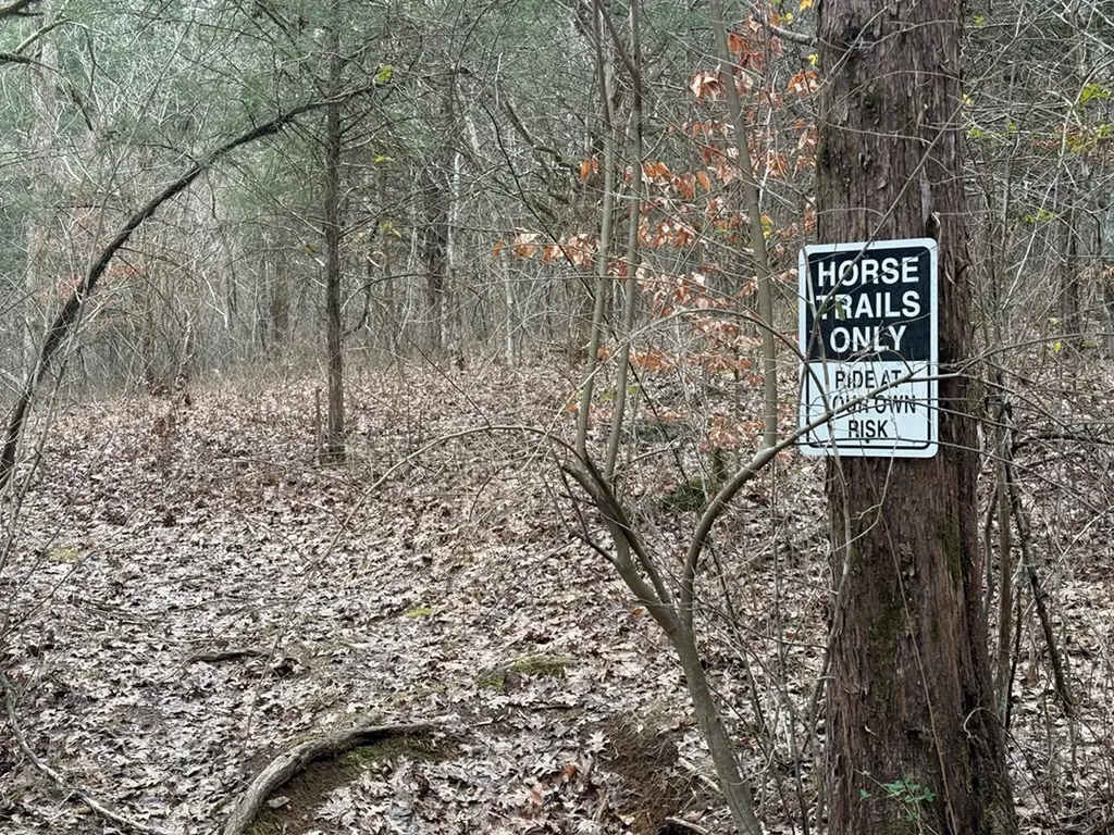 37.88 Ac Cook Lane Gainesboro TN 38562