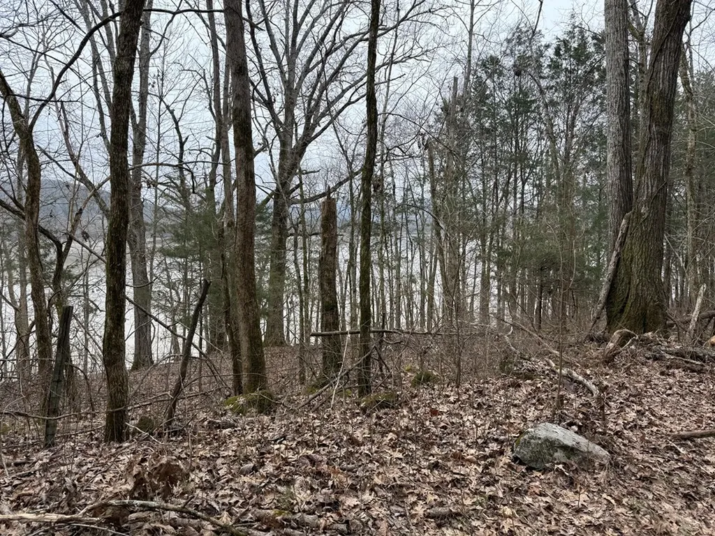 37.88 Ac Cook Lane Gainesboro TN 38562