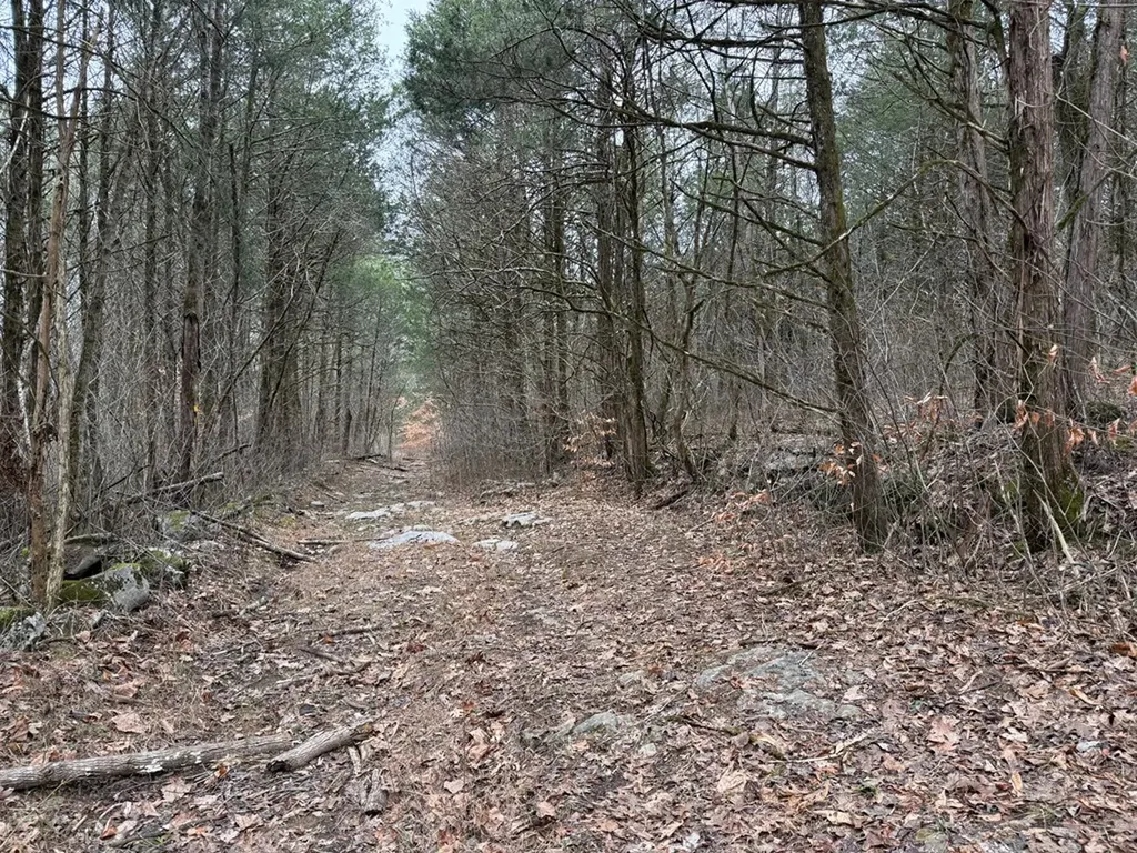 37.88 Ac Cook Lane Gainesboro TN 38562