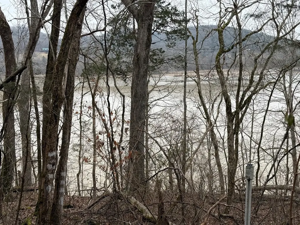 37.88 Ac Cook Lane Gainesboro TN 38562