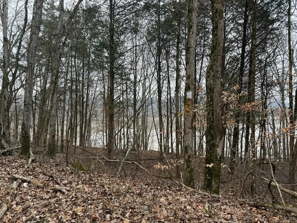 37.88 Ac Cook Lane Gainesboro TN 38562