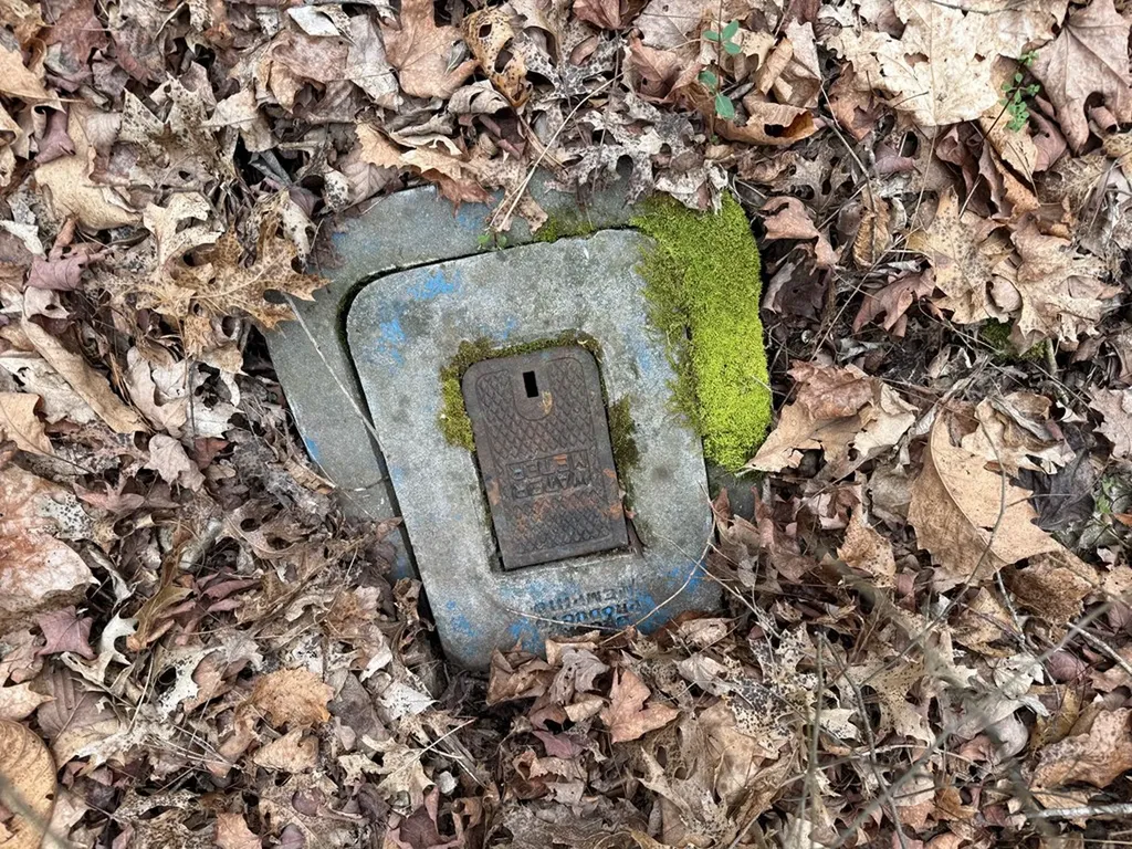 37.88 Ac Cook Lane Gainesboro TN 38562
