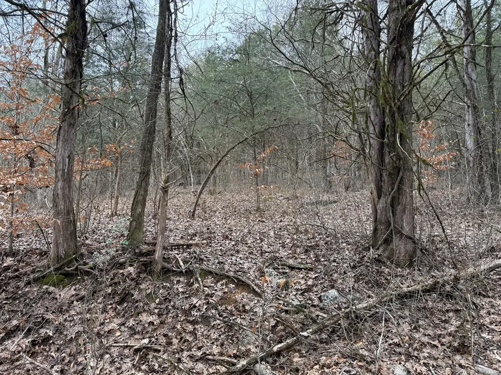 37.88 Ac Cook Lane Gainesboro TN 38562