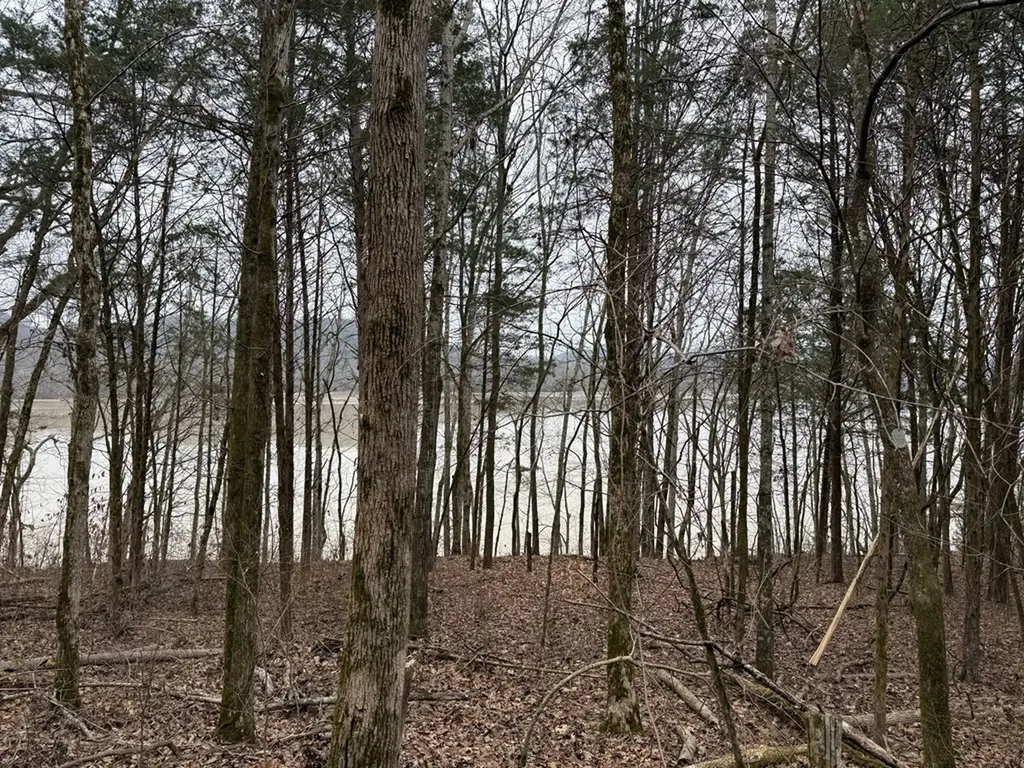 37.88 Ac Cook Lane Gainesboro TN 38562